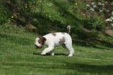 LAGOTTO 024